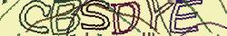 Retype the CAPTCHA code from the image