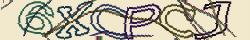Retype the CAPTCHA code from the image