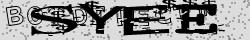 Retype the CAPTCHA code from the image