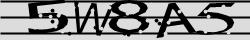 Retype the CAPTCHA code from the image
